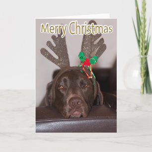Funny Labrador Glitter Antlers Custom Text Inside Holiday Card