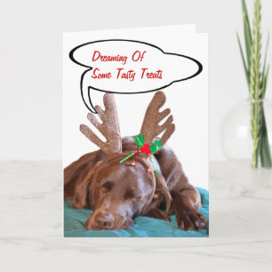 Funny Labrador Wearing Antlers Photo Personalized Holiday Card