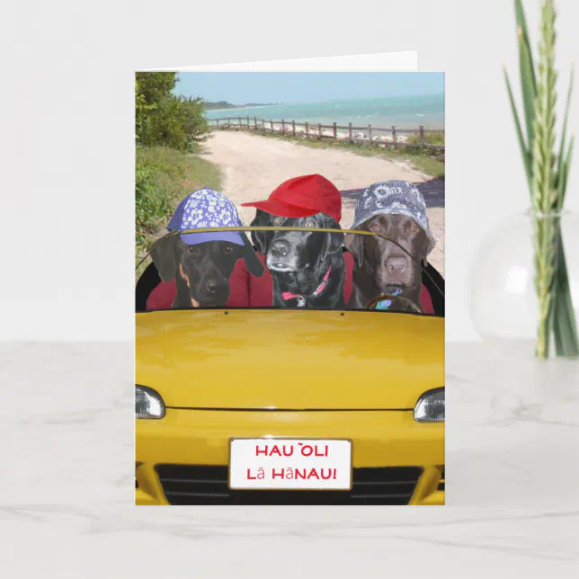 Funny Labs on the Beach Birthday Card | Zazzle