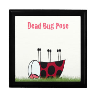 Funny Ladybug Dead Bug Yoga Pose Gift Box