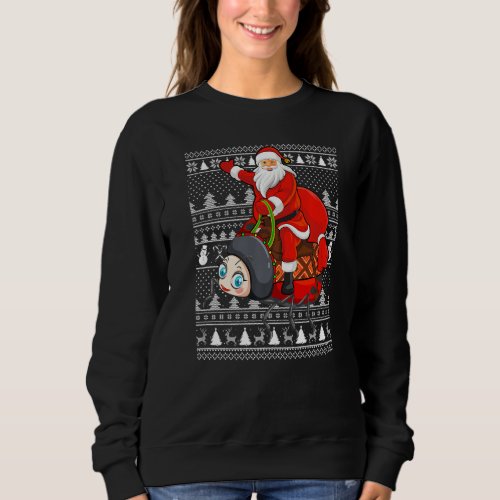 Funny Ladybug Lover Santa Riding Ladybug Ugly Chri Sweatshirt