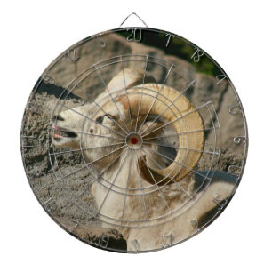 Funny Laughing Bighorn Sheep or Ram Dart Board