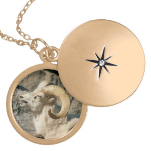 Funny Laughing Bighorn Sheep or Ram Locket Necklace
