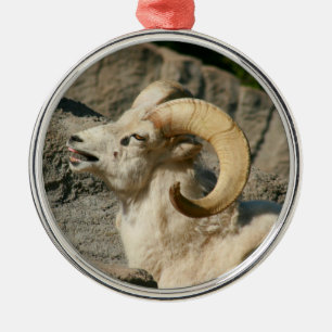 Funny Laughing Bighorn Sheep or Ram Metal Ornament