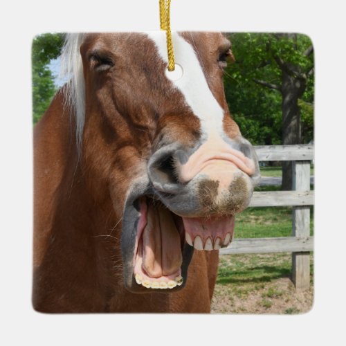 Funny Laughing Horse Ceramic Ornament