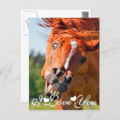 Funny Laughing Horse I Love You Postcard (Front/Back)