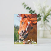 Funny Laughing Horse I Love You Postcard (Standing Front)