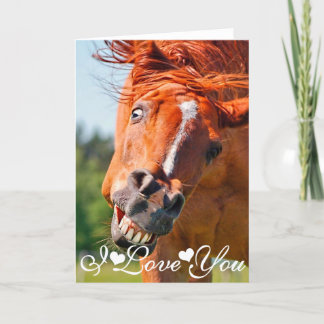 Funny laughing Horse Photograph I Love You Card