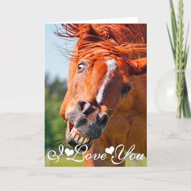 Funny laughing Horse Photograph I Love You Card (Front)