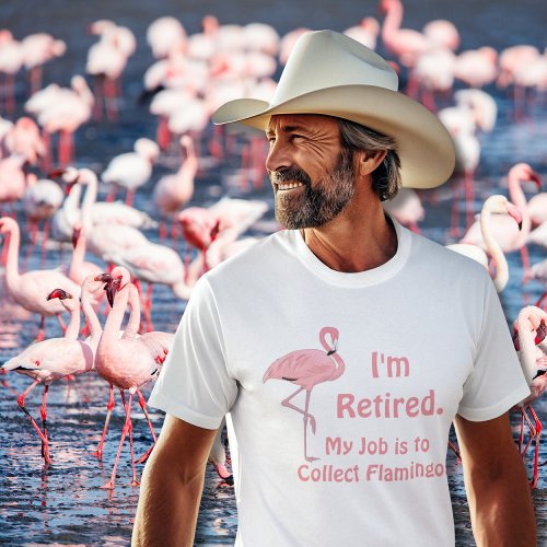 Funny Lawn Flamingo Retirement T_Shirt