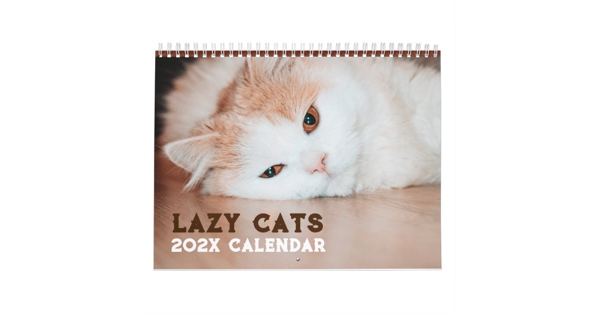 Funny Lazy Cats 2025 Calendar Zazzle