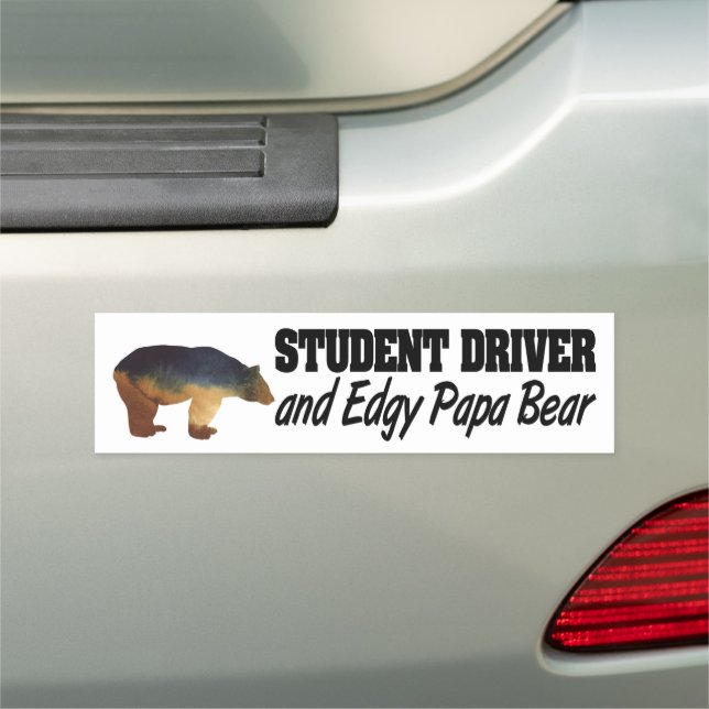 Funny Learning to Drive Student Driver Car Magnet (In Situ)