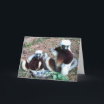 Funny Lemur Birthday Card<br><div class="desc">Funny Birthday Greeting Card with two lemurs expecting cake</div>