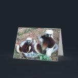Funny Lemur Birthday Card<br><div class="desc">Funny Birthday Greeting Card with two lemurs expecting cake</div>