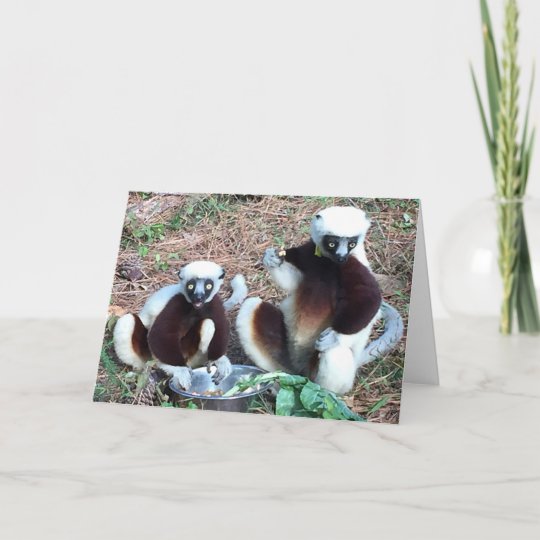 Funny Lemur Birthday Card | Zazzle.com