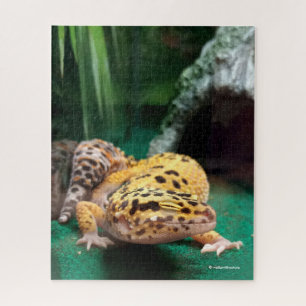 Funny Leopard Gecko Smiles for the Paparazzi Jigsaw Puzzle