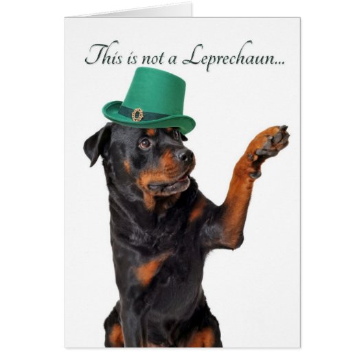 Funny Leprachaun Rottie Card (Front)