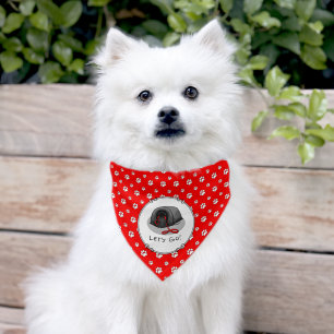 Funny Let's Go! for a Walk Pekingese Dog (black) Pet Bandana Collar
