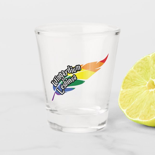 Funny LGBTQ | Play On Words | Pride | Rainbow Shot Glass (Front)
