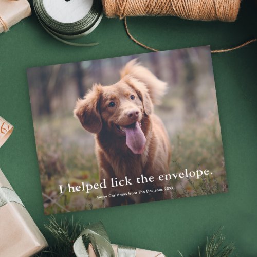 Funny Lick the Envelope Pet Christmas Card