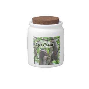 Funny Life Coach Cute Sloth Picture Black Text Candy Jar