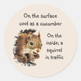 Funny Life Quote Surface Cool Inside Squirrel  Classic Round Sticker