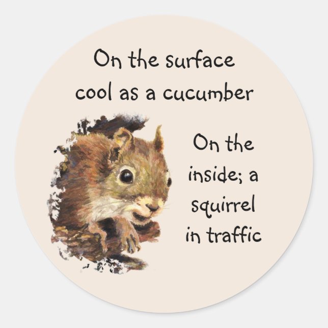 Funny Life Quote Surface Cool Inside Squirrel  Classic Round Sticker (Front)