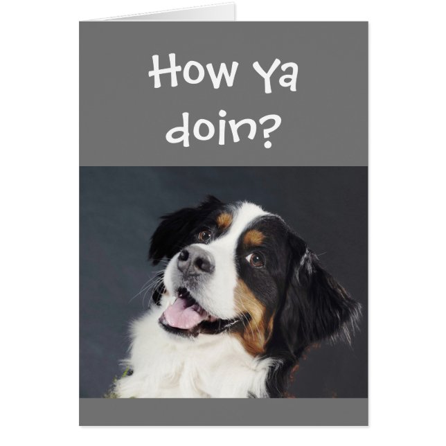 Funny Lighthearted Thinking of You Cute Dog Cards (Front)