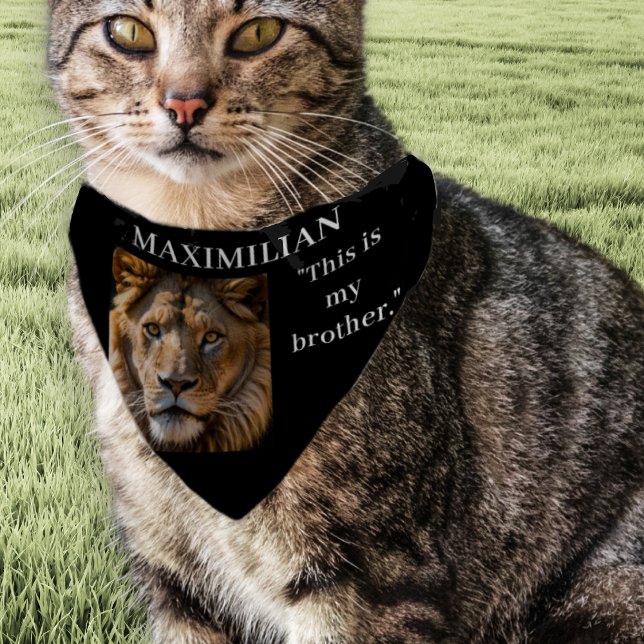 Funny Lion Brother Big Cat Pet Bandana Collar (A funny personalized bandana for your pet cat, with lion picture and 'This is my brother' caption)