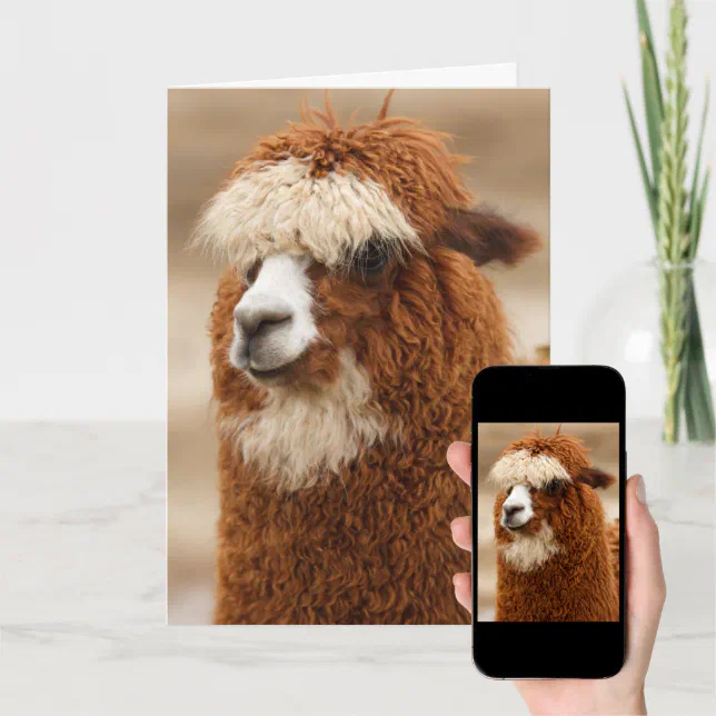 Funny Llama Birthday Card | Zazzle