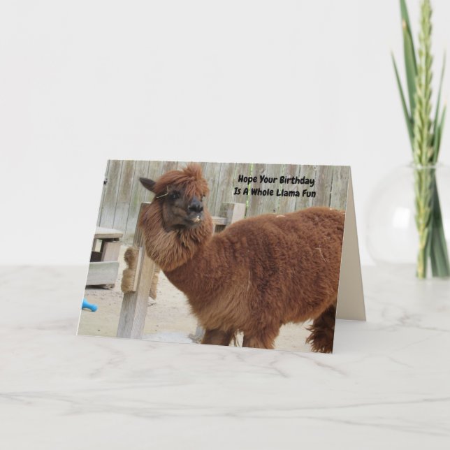 Funny Llama Birthday Card (Front)