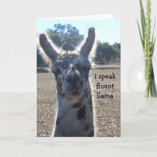 Funny Llama Birthday Card I speak fluent llama Card