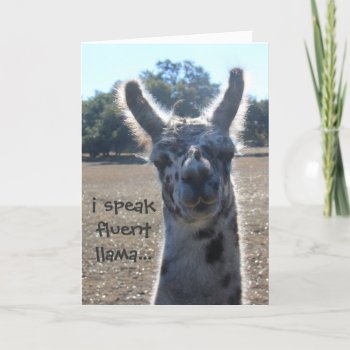 Funny Llama Birthday Card  I Speak Fluent Llama... Card by PicturesByDesign at Zazzle