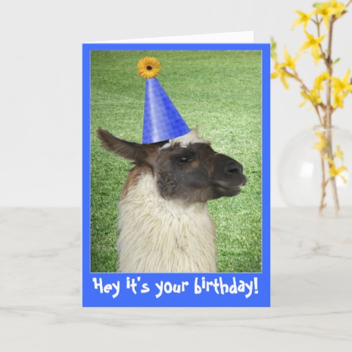 Funny Llama birthday card or invitation | Zazzle