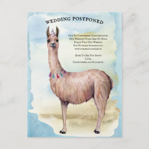 Funny Llama Blue Wedding Postponed Date Change Postcard