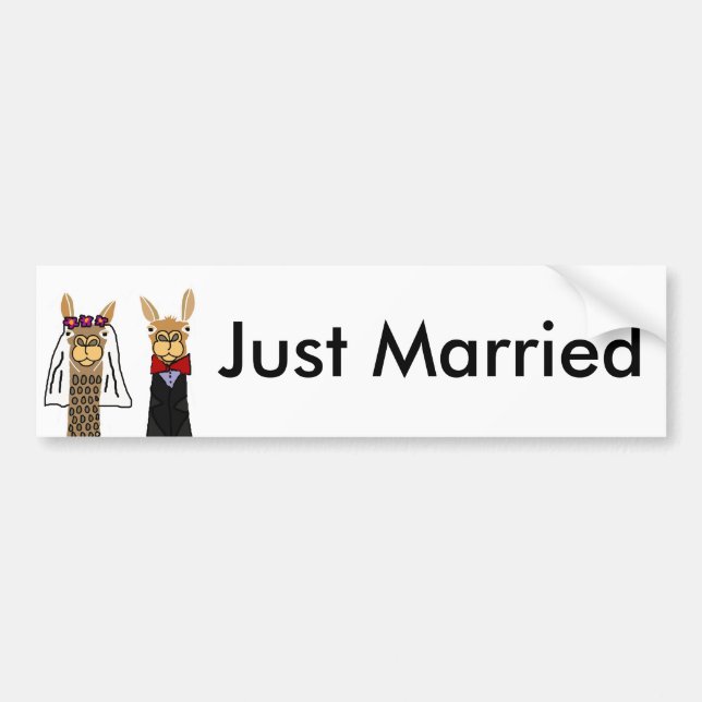 Funny Llama Bride and Groom Wedding Art Bumper Sticker (Front)