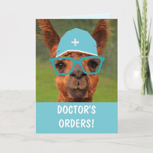 Funny Llama Doctors Orders Get Well Card