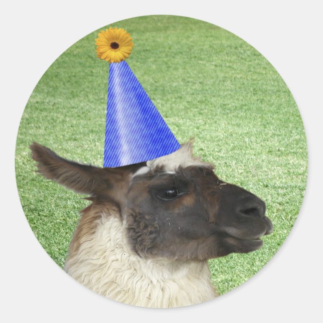 Funny Llama in Party Hat stickers (Front)
