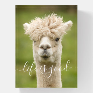 Funny Llama Life is Good Paperweight