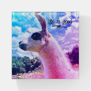 Funny Llama Life Is Good Paperweight