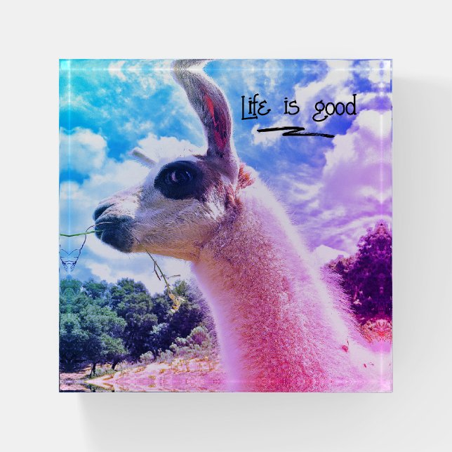 Funny Llama Life Is Good Paperweight (Front)