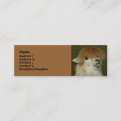 Funny Llama Business Card Template