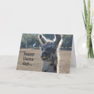 Funny Llama Mother's Day Card