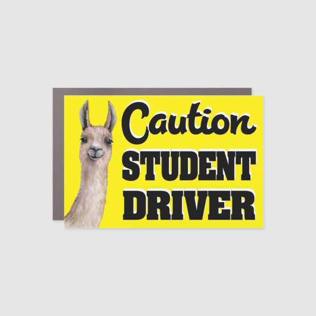 Funny Llama Safety Caution New Driver Car Magnet (Front)