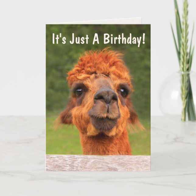 Funny Llama Wise Advice Birthday Card (Front)