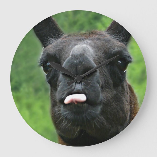 Funny Llama with Major Attitude & Pink Tongue Large Clock (Front)