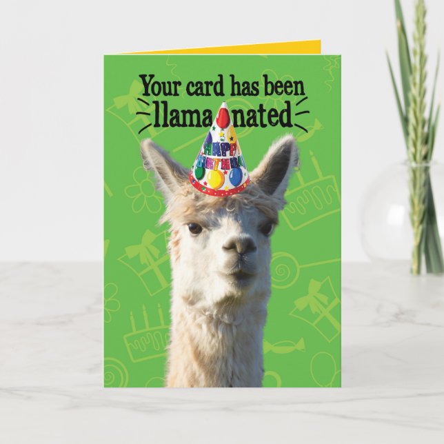 Funny Llama With Party Hat– Llamanated Birthday Card (Front)