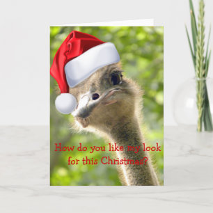©Funny Looking Ostrich Santa Custom Holiday Card