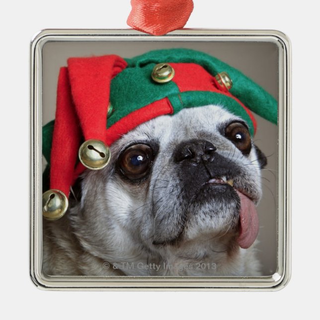 Funny looking pug with tongue hanging out metal ornament (Front)
