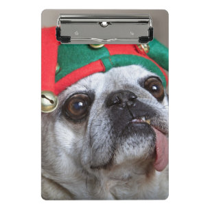 Funny looking pug with tongue hanging out mini clipboard